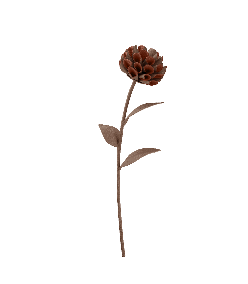 Polène Dalium Flower - Root