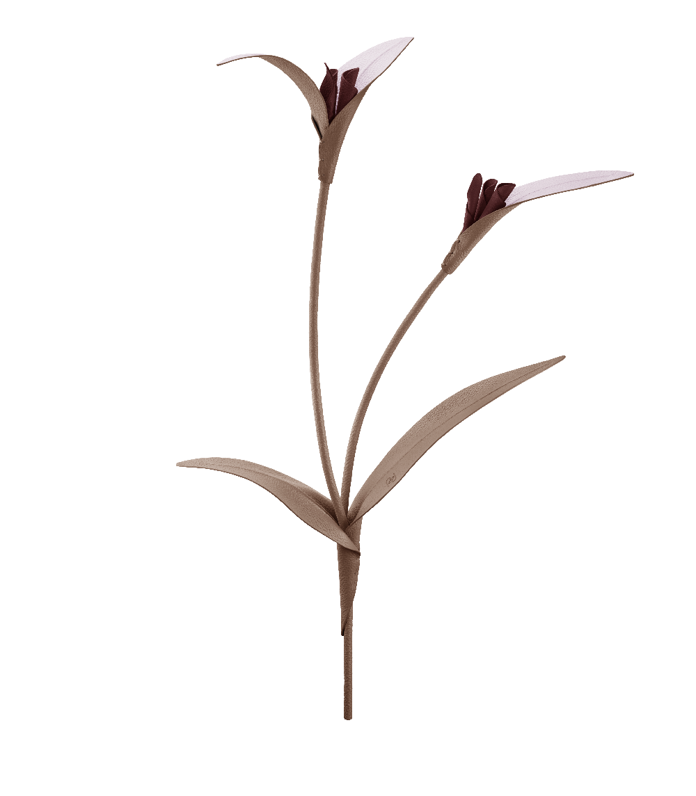 Polène Touka Flower - Root