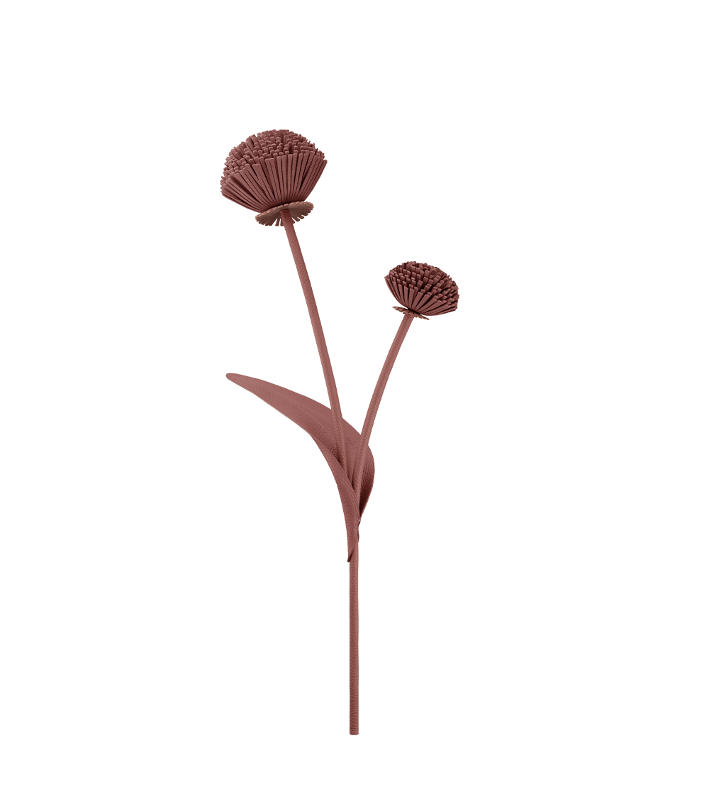 Polène Tul Flower - Textured Duo Blush