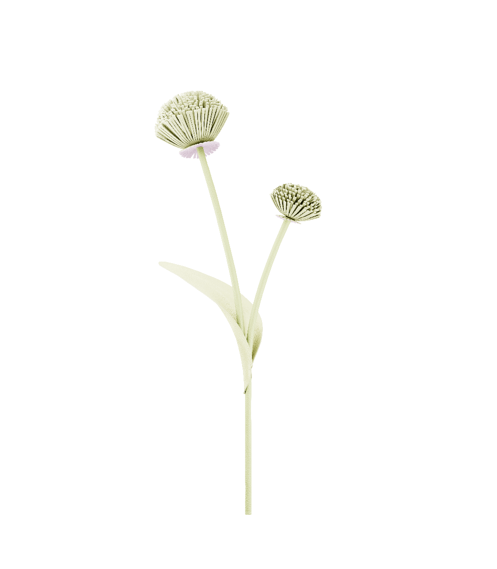 Polène Tul Flower - Aloe
