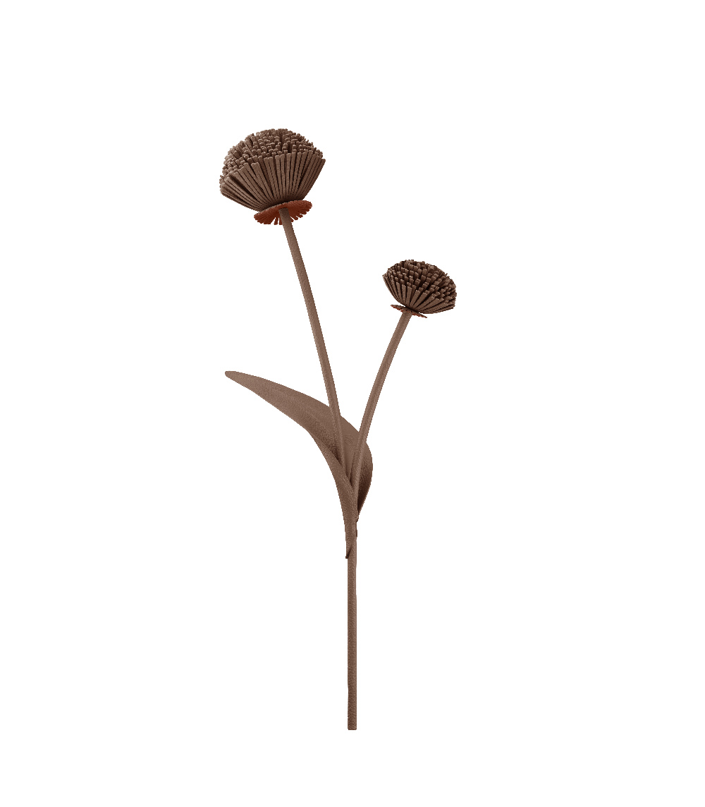 Polène Tul Flower - Root