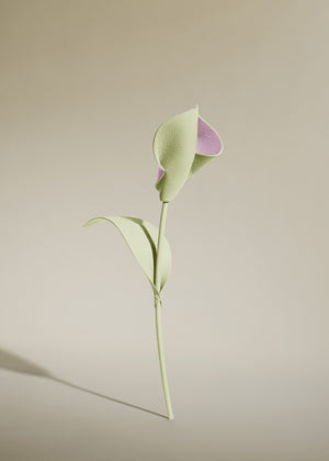 Polène Pili Flower - Aloe - view 2