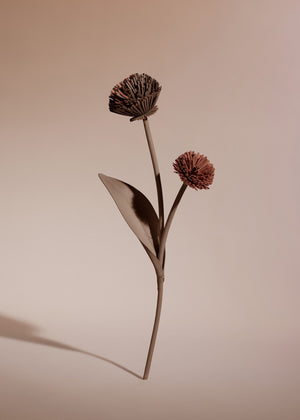 Polène Tul Flower - Root - view 2