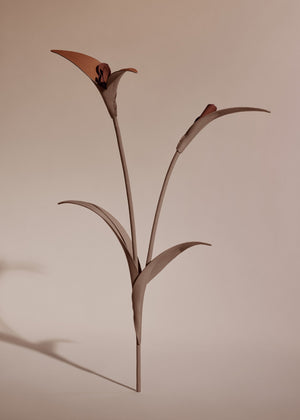 Polène Touka Flower - Root - view 2