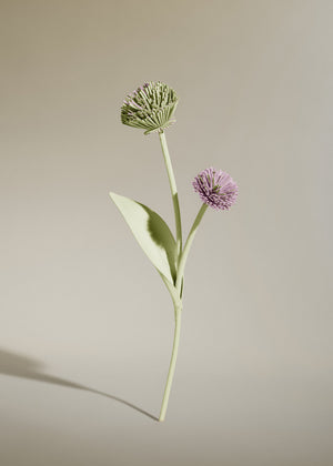 Polène Tul Flower - Aloe - view 2