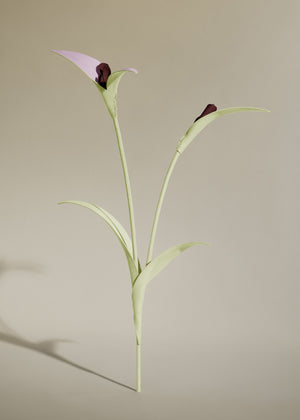 Polène Touka Flower - Aloe - view 2