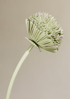 Polène Tul Flower - Aloe - view 3