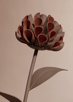 Polène Dalium Flower - Root - view 3