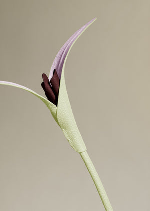 Polène Touka Flower - Aloe - view 3