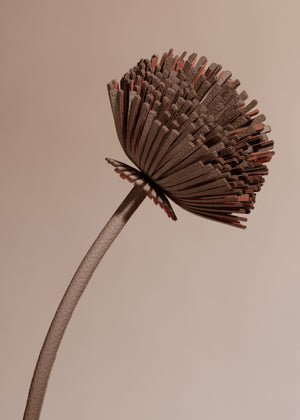Polène Tul Flower - Root - view 3
