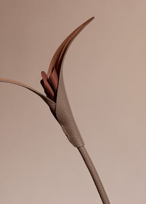 Polène Touka Flower - Root - view 3