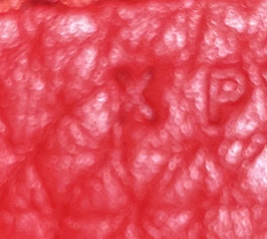 Hermes Lindy Bag Clemence 34 - view 7