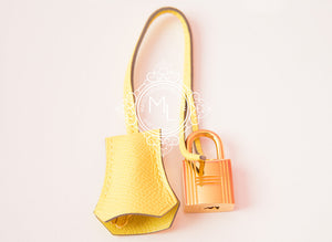 Hermes Hermes Pre-owned Hermes Soufre Epsom Gold Hardware Birkin 25 Handbag - view 15
