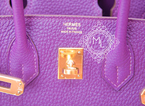 Hermes Hermes Pre-owned Hermes Anemone Togo Gold Hardware Birkin 25 Handbag - view 7