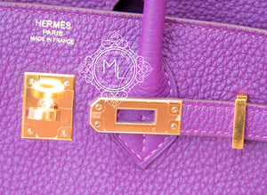Hermes Hermes Pre-owned Hermes Anemone Togo Gold Hardware Birkin 25 Handbag - view 9