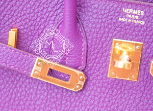 Hermes Hermes Pre-owned Hermes Anemone Togo Gold Hardware Birkin 25 Handbag - view 8