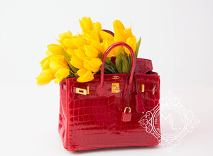 Hermes Hermes Braise Red Crocodile Birkin 25 Handbag - view 4