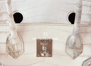 Hermes Hermes Birkin 30 Himalayan Himalaya Crocodile Handbag - view 8