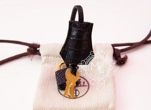 Hermes Hermes Noir Black Matte Crocodile Gold Birkin 25 Handbag - view 15