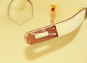 Hermes Hermes Jaune Poussin Togo Birkin 25 Handbag - view 8