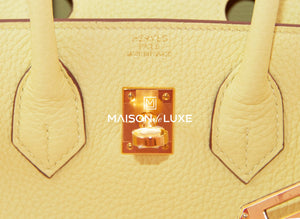 Hermes Hermes Jaune Poussin Togo Birkin 25 Handbag - view 9