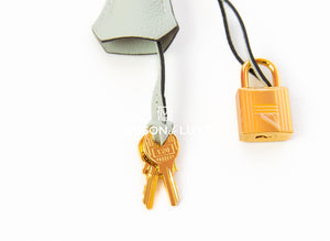 Hermes Hermes Birkin 25 Gris Neve Togo Gold Hardware - view 16