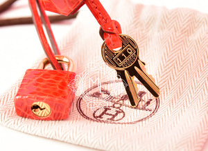 Hermes Hermes Geranium Red Crocodile Gold Birkin 25 Handbag - view 17