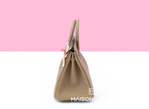 Hermes Hermes Birkin 25 Beige Marfa Togo Gold Hardware - view 5