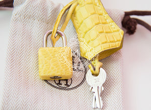 Hermes Hermes Lime Yellow Matte Crocodile Birkin 25 Handbag - view 15