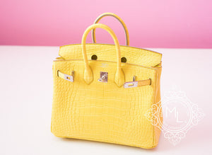 Hermes Hermes Lime Yellow Matte Crocodile Birkin 25 Handbag - view 2