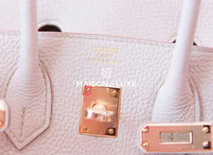Hermes Hermes Beton Togo RGHW Birkin 25 Handbag - view 10