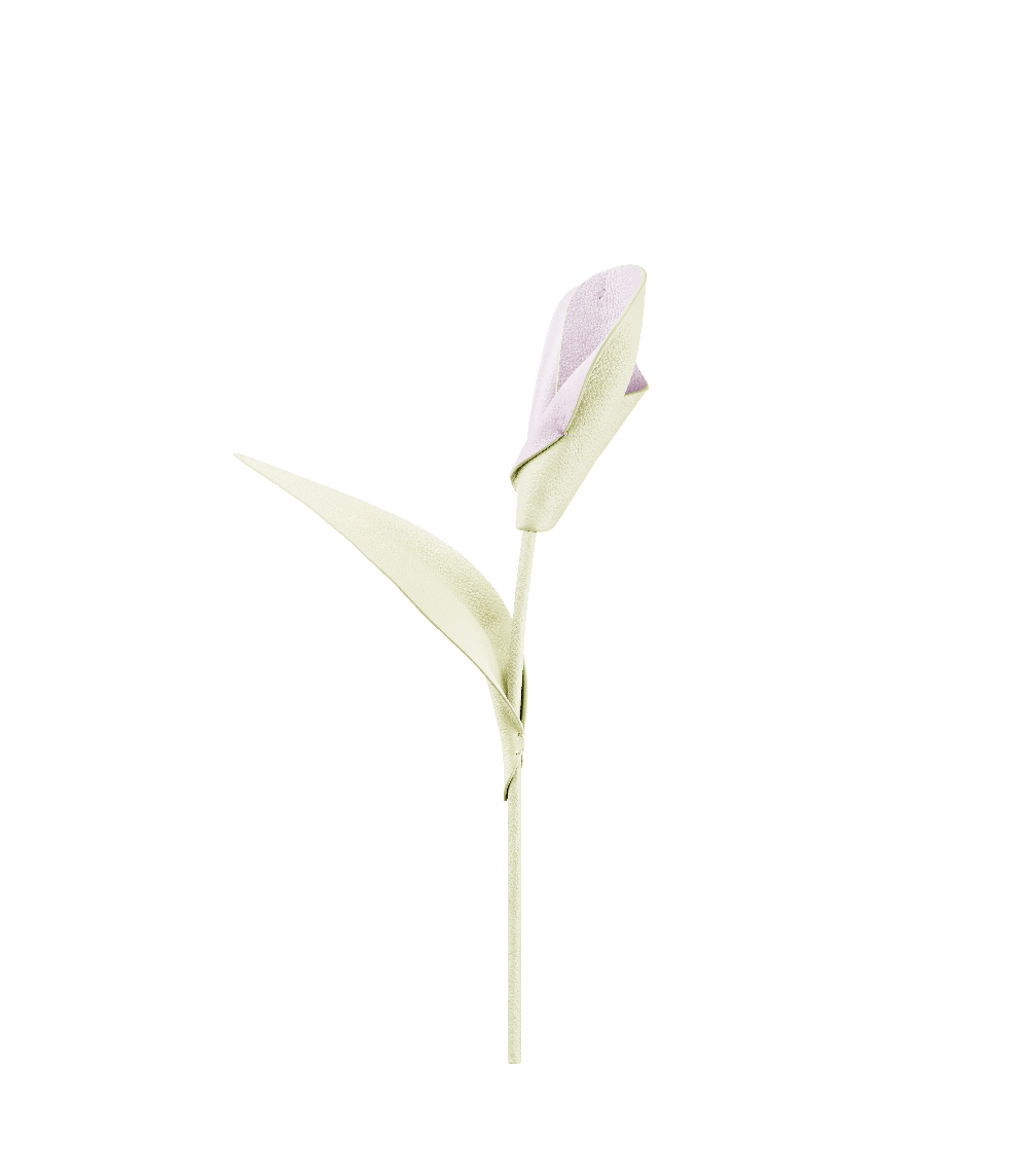 Polène Pili Flower - Aloe