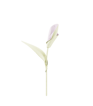 Polène Pili Flower - Aloe - view 1