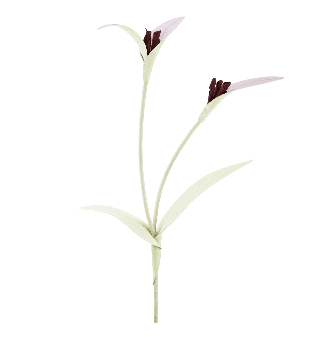 Polène Touka Flower - Aloe