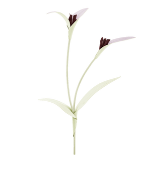 Polène Touka Flower - Aloe - view 1