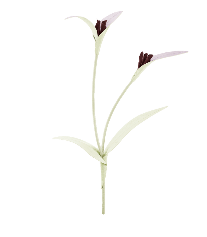 Polène Touka Flower - Aloe