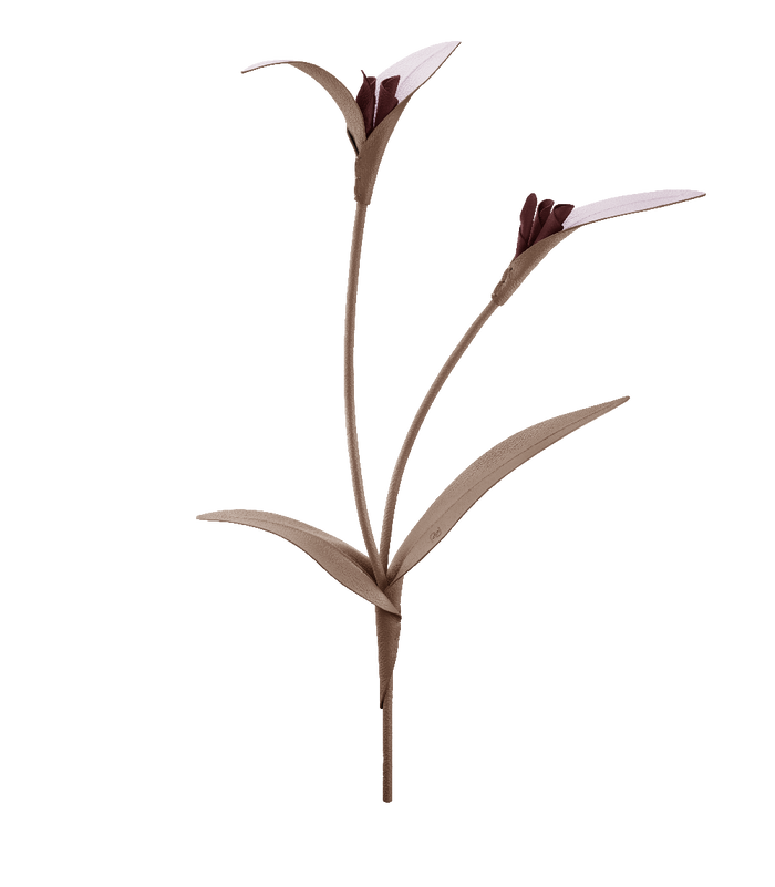 Polène Touka Flower - Root