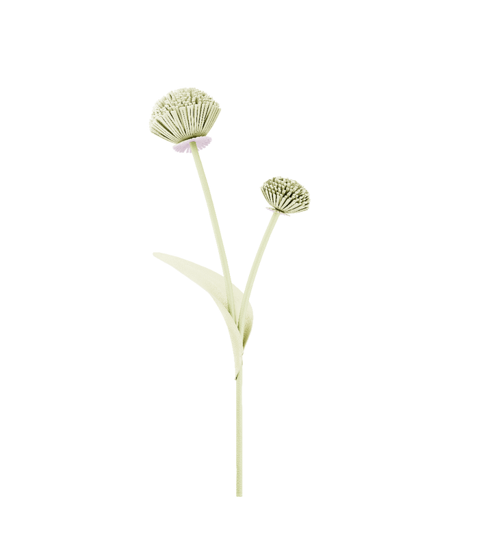 Polène Tul Flower - Aloe