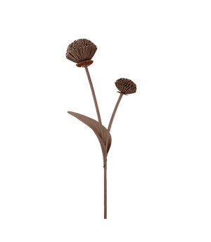 Polène Tul Flower - Root - view 1